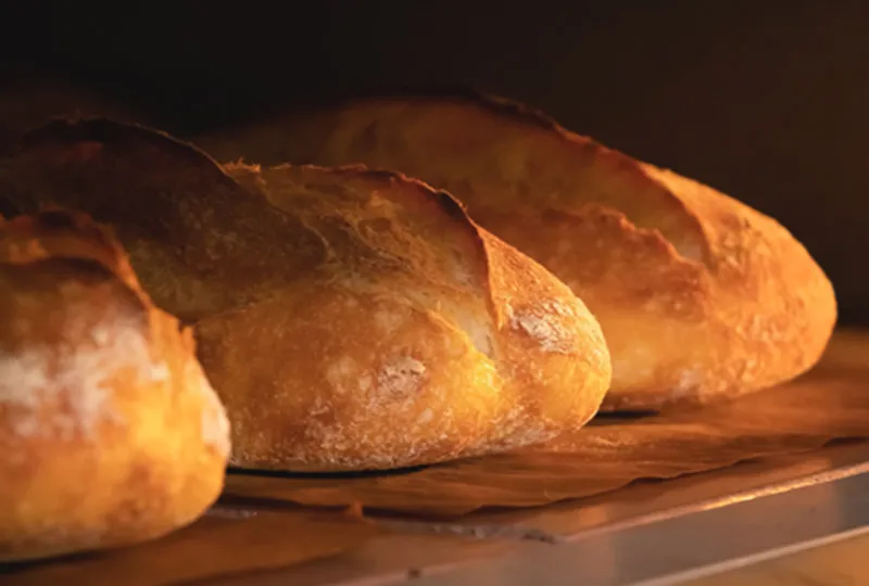 パン生地の低温長時間発酵